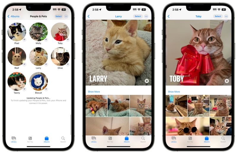 Looking for the same person or pet in the photo gallery. Image Source: iOS 17 Photos App Recognizes Your Pets